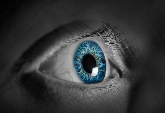 Eye